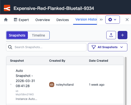 Snapshot toggle inside the immersive editor